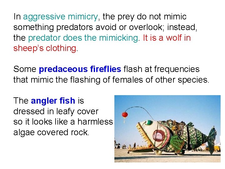 In aggressive mimicry, the prey do not mimic something predators avoid or overlook; instead,