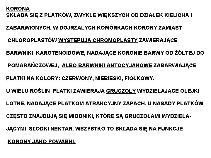 KORONA SKŁADA SIĘ Z PŁATKÓW, ZWYKLE WIĘKSZYCH OD DZIAŁEK KIELICHA I ZABARWIONYCH. W DOJRZAŁYCH