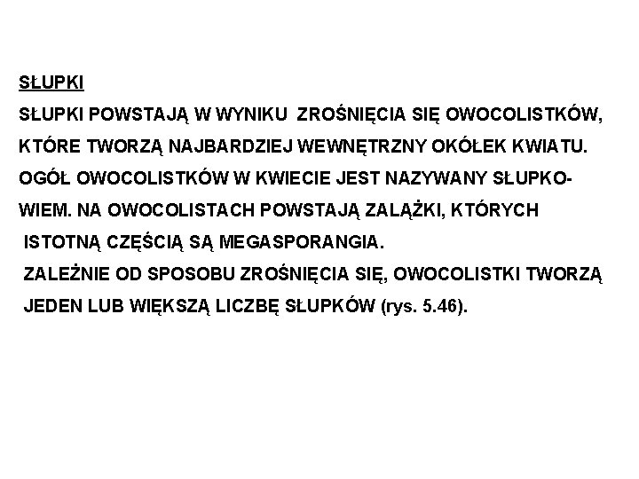 SŁUPKI POWSTAJĄ W WYNIKU ZROŚNIĘCIA SIĘ OWOCOLISTKÓW, KTÓRE TWORZĄ NAJBARDZIEJ WEWNĘTRZNY OKÓŁEK KWIATU. OGÓŁ