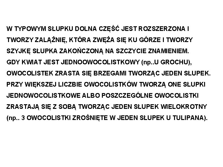 W TYPOWYM SŁUPKU DOLNA CZĘŚĆ JEST ROZSZERZONA I TWORZY ZALĄŻNIĘ, KTÓRA ZWĘŻA SIĘ KU