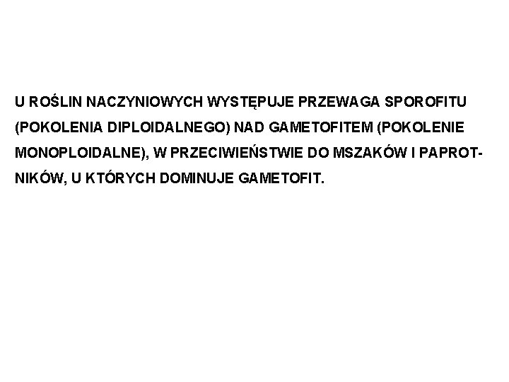 U ROŚLIN NACZYNIOWYCH WYSTĘPUJE PRZEWAGA SPOROFITU (POKOLENIA DIPLOIDALNEGO) NAD GAMETOFITEM (POKOLENIE MONOPLOIDALNE), W PRZECIWIEŃSTWIE