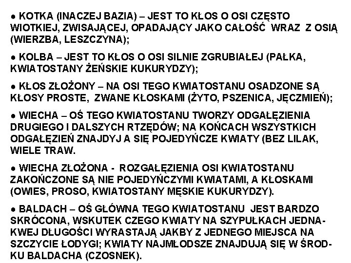 ● KOTKA (INACZEJ BAZIA) – JEST TO KŁOS O OSI CZĘSTO WIOTKIEJ, ZWISAJĄCEJ, OPADAJĄCY