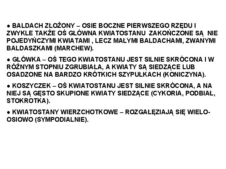 ● BALDACH ZŁOŻONY – OSIE BOCZNE PIERWSZEGO RZĘDU I ZWYKLE TAKŻE OŚ GŁÓWNA KWIATOSTANU