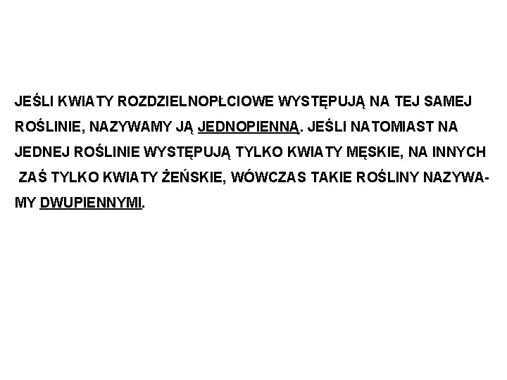 JEŚLI KWIATY ROZDZIELNOPŁCIOWE WYSTĘPUJĄ NA TEJ SAMEJ ROŚLINIE, NAZYWAMY JĄ JEDNOPIENNĄ. JEŚLI NATOMIAST NA