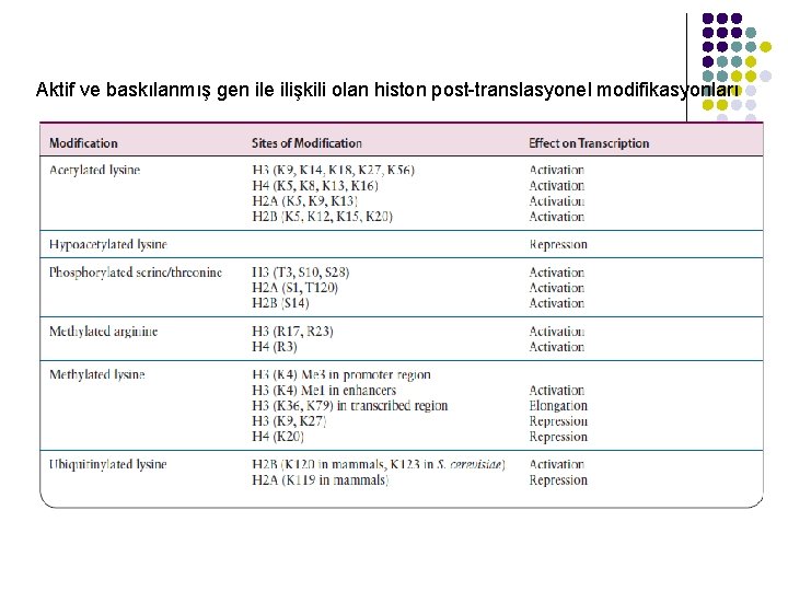 Aktif ve baskılanmış gen ile ilişkili olan histon post-translasyonel modifikasyonları 