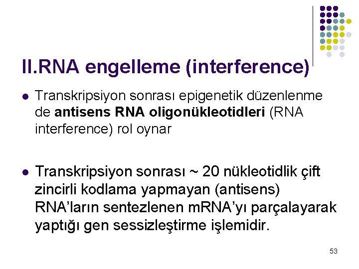 II. RNA engelleme (interference) l Transkripsiyon sonrası epigenetik düzenlenme de antisens RNA oligonükleotidleri (RNA