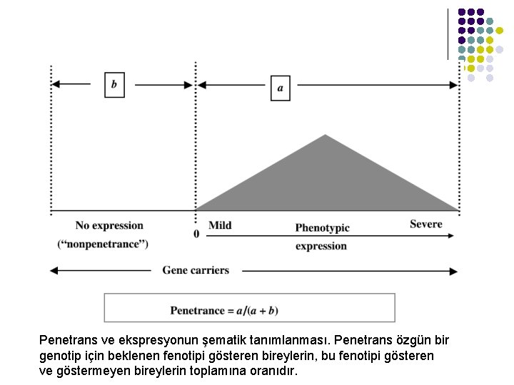 Penetrans ve ekspresyonun şematik tanımlanması. Penetrans özgün bir genotip için beklenen fenotipi gösteren bireylerin,