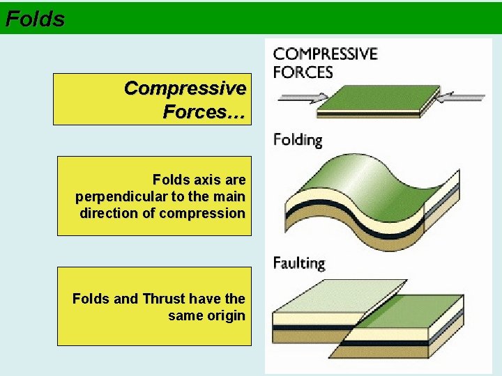 Folds Compressive Forces… Folds axis are perpendicular to the main direction of compression Folds