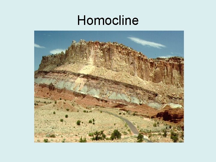 Homocline 