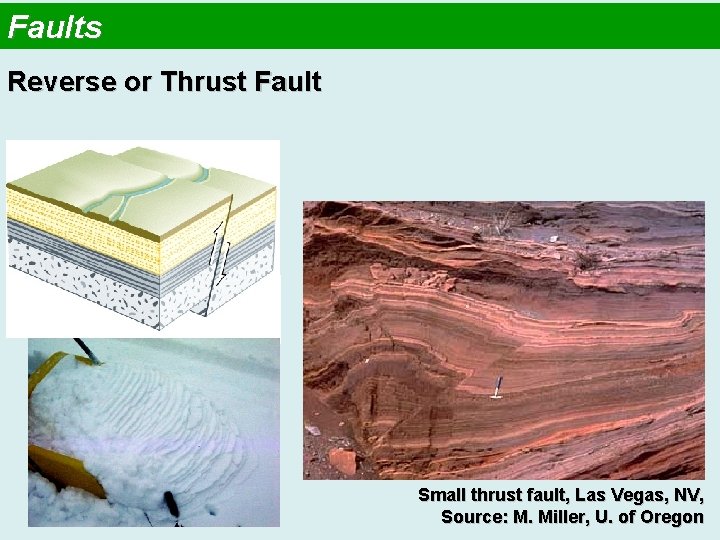 Faults Reverse or Thrust Fault Small thrust fault, Las Vegas, NV, Source: M. Miller,