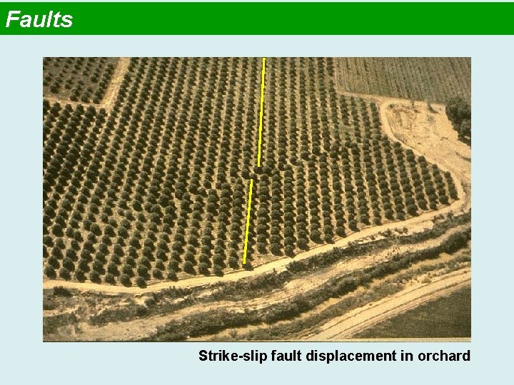 Faults Strike-slip fault displacement in orchard 
