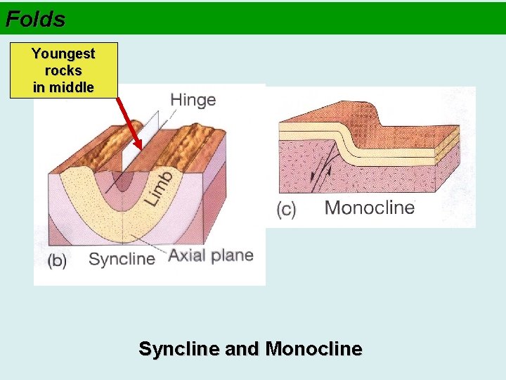 Folds Youngest rocks in middle Syncline and Monocline 