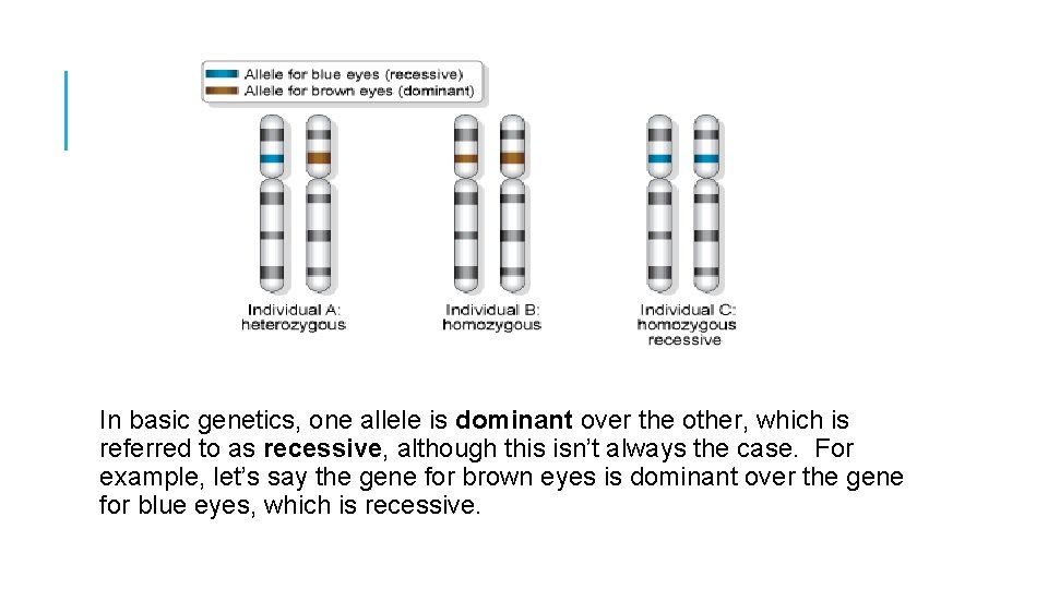 In basic genetics, one allele is dominant over the other, which is referred to