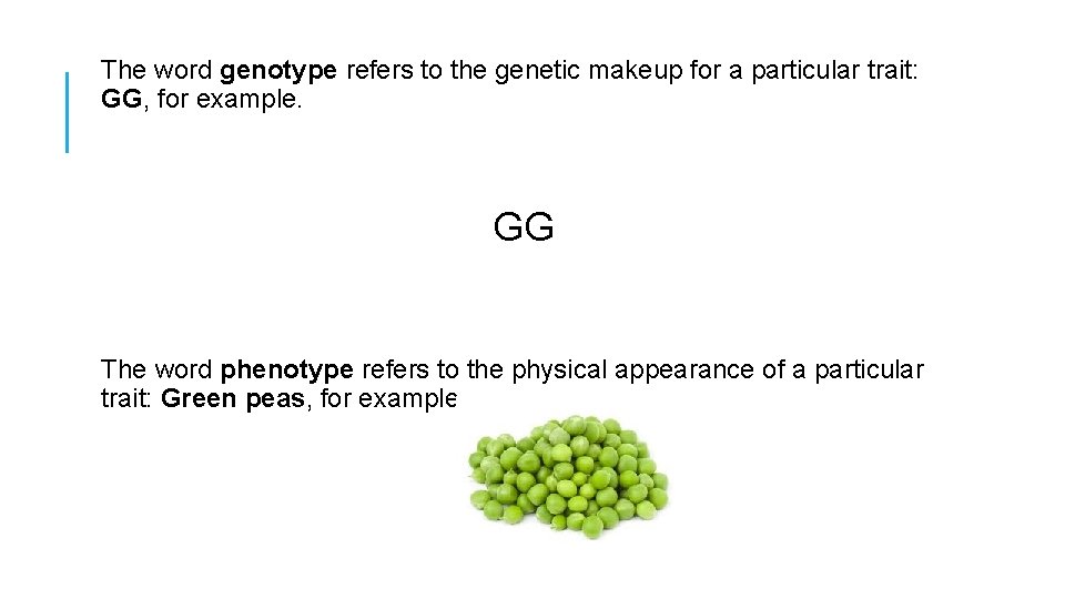 The word genotype refers to the genetic makeup for a particular trait: GG, for