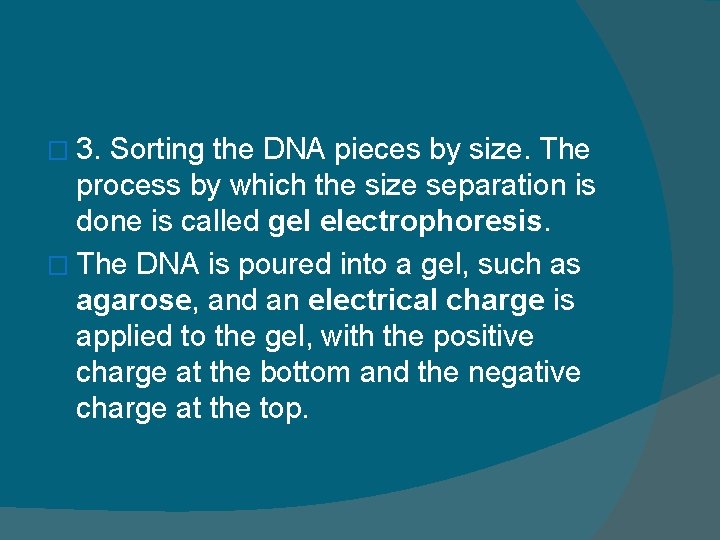 � 3. Sorting the DNA pieces by size. The process by which the size