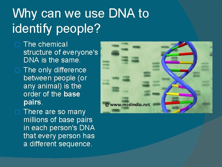 Why can we use DNA to identify people? The chemical structure of everyone's DNA