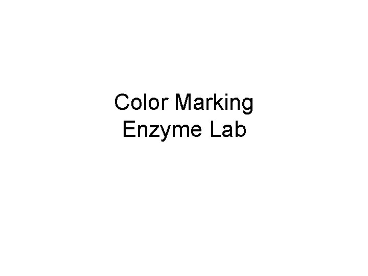 Color Marking Enzyme Lab 