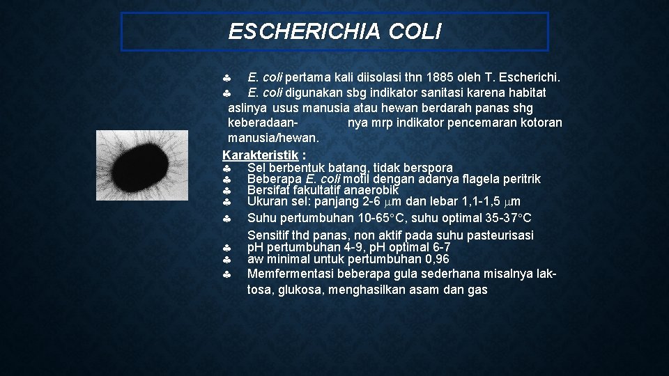 ESCHERICHIA COLI E. coli pertama kali diisolasi thn 1885 oleh T. Escherichi. E. coli