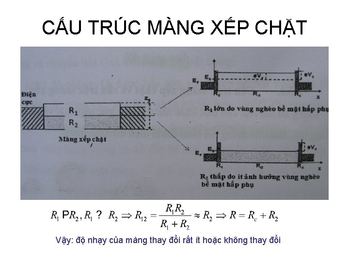 CẤU TRÚC MÀNG XẾP CHẶT Vậy: độ nhạy của màng thay đổi rất ít