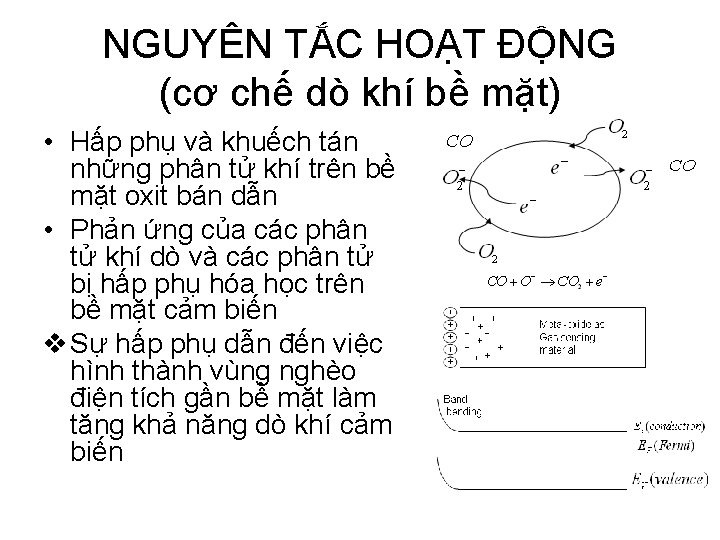 NGUYÊN TẮC HOẠT ĐỘNG (cơ chế dò khí bề mặt) • Hấp phụ và