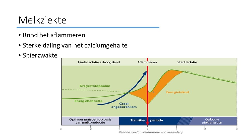 Melkziekte • Rond het aflammeren • Sterke daling van het calciumgehalte • Spierzwakte 