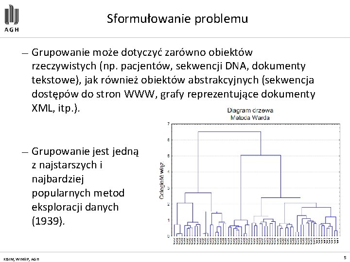 Sformułowanie problemu — Grupowanie może dotyczyć zarówno obiektów rzeczywistych (np. pacjentów, sekwencji DNA, dokumenty