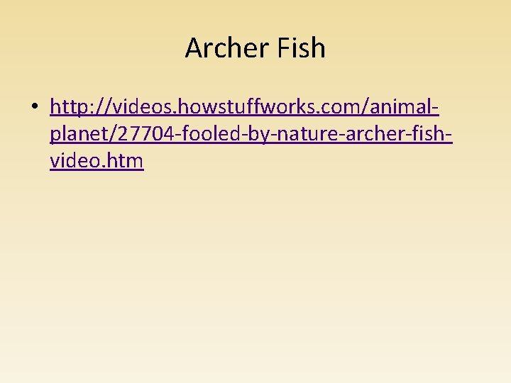 Archer Fish • http: //videos. howstuffworks. com/animalplanet/27704 -fooled-by-nature-archer-fishvideo. htm Archer Fish • http: //videos. howstuffworks. com/animalplanet/27704 -fooled-by-nature-archer-fishvideo. htm