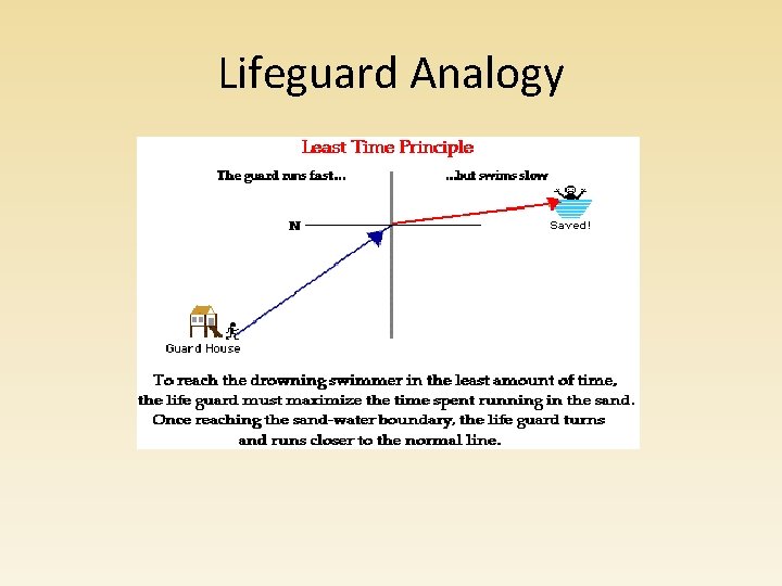 Lifeguard Analogy Lifeguard Analogy