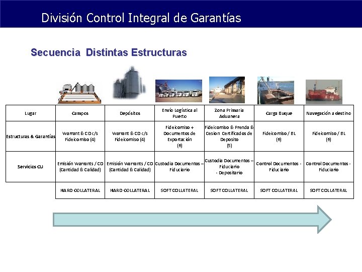 División Control Integral de Garantías Secuencia Distintas Estructuras Lugar Campos Depósitos Envío Logística al