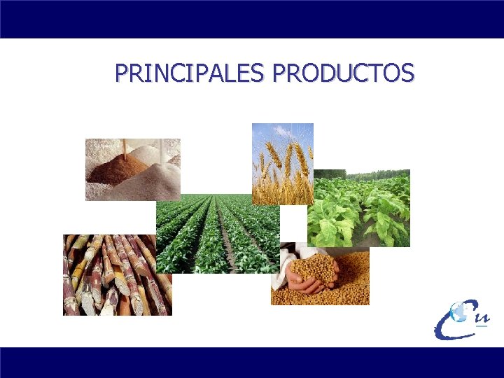 PRINCIPALES PRODUCTOS 