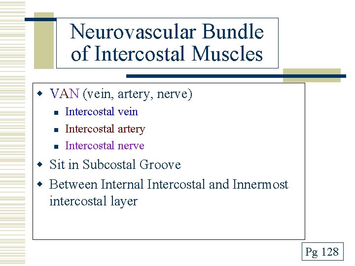 Neurovascular Bundle of Intercostal Muscles w VAN (vein, artery, nerve) n n n Intercostal