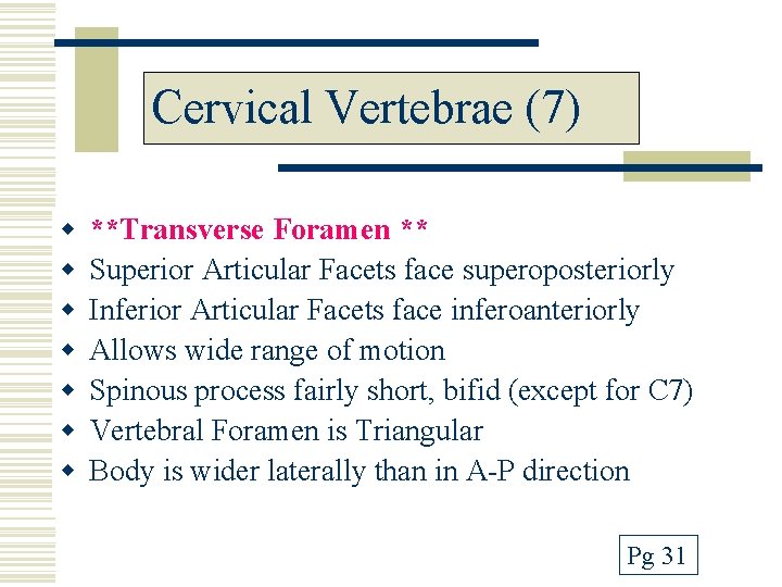 Cervical Vertebrae (7) w w w w **Transverse Foramen ** Superior Articular Facets face