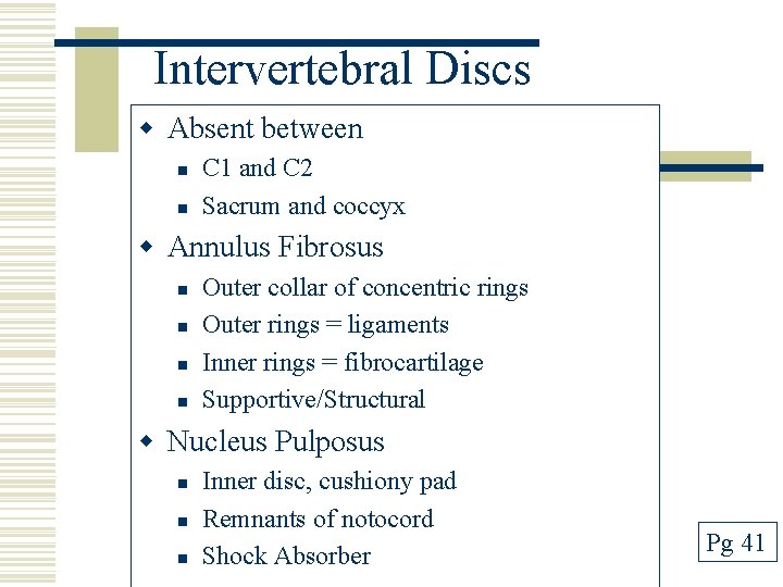 Intervertebral Discs w Absent between n n C 1 and C 2 Sacrum and