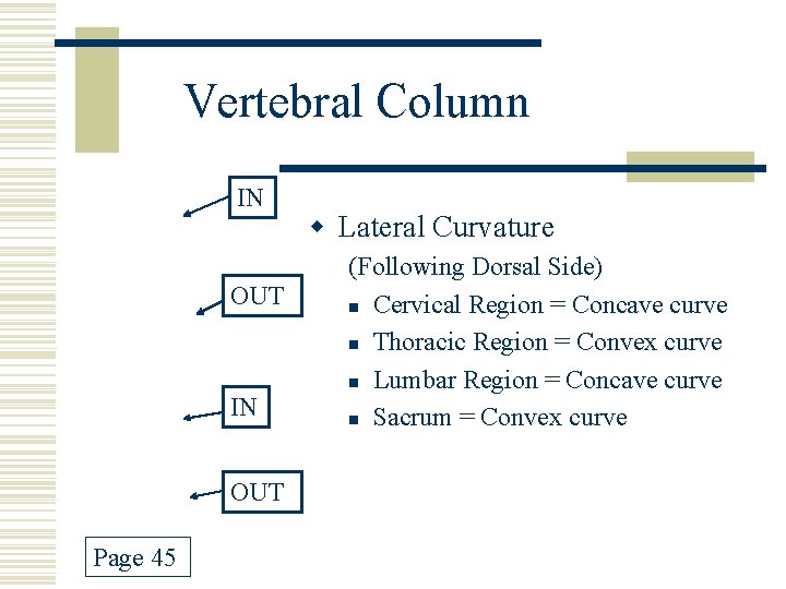 Vertebral Column IN OUT Page 45 w Lateral Curvature (Following Dorsal Side) n Cervical