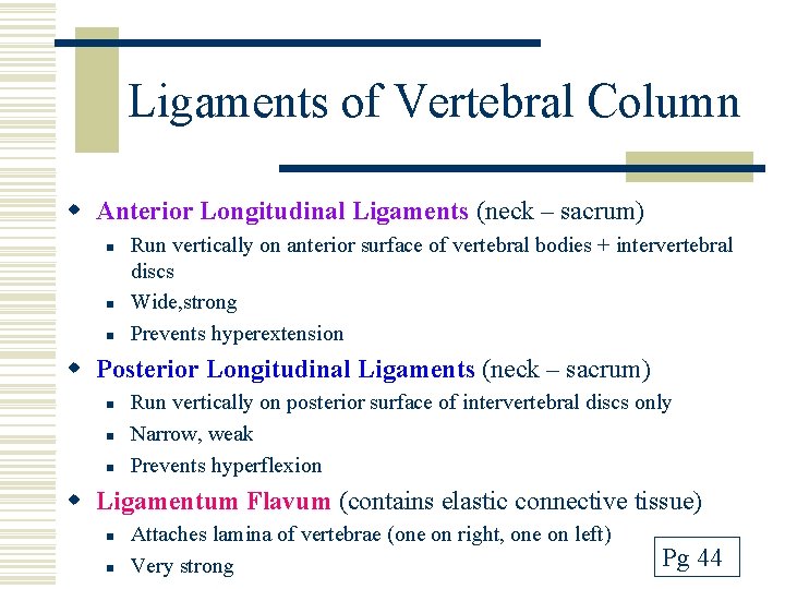 Ligaments of Vertebral Column w Anterior Longitudinal Ligaments (neck – sacrum) n n n