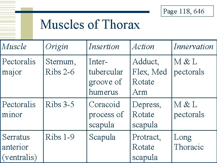 Page 118, 646 Muscles of Thorax Muscle Origin Insertion Action Innervation Pectoralis major Sternum,