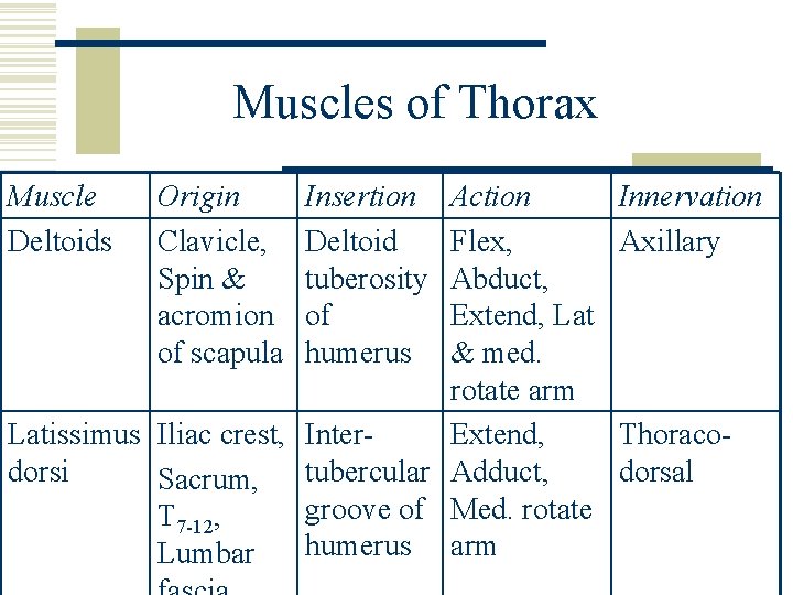 Muscles of Thorax Muscle Deltoids Origin Clavicle, Spin & acromion of scapula Insertion Deltoid