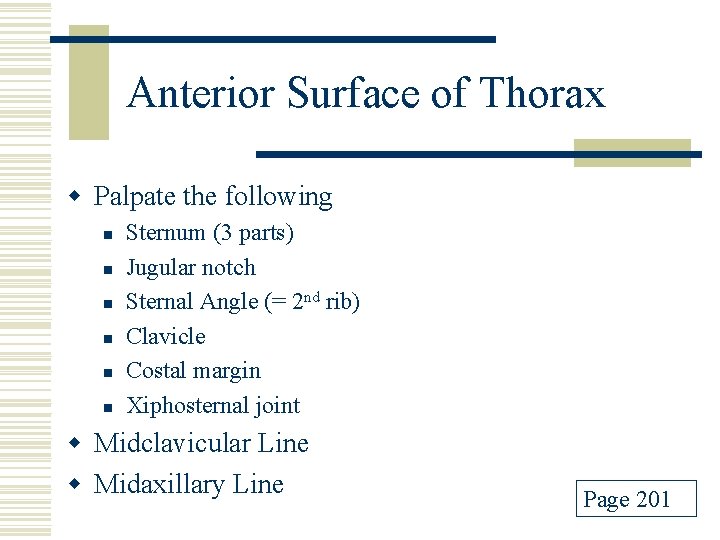 Anterior Surface of Thorax w Palpate the following n n n Sternum (3 parts)