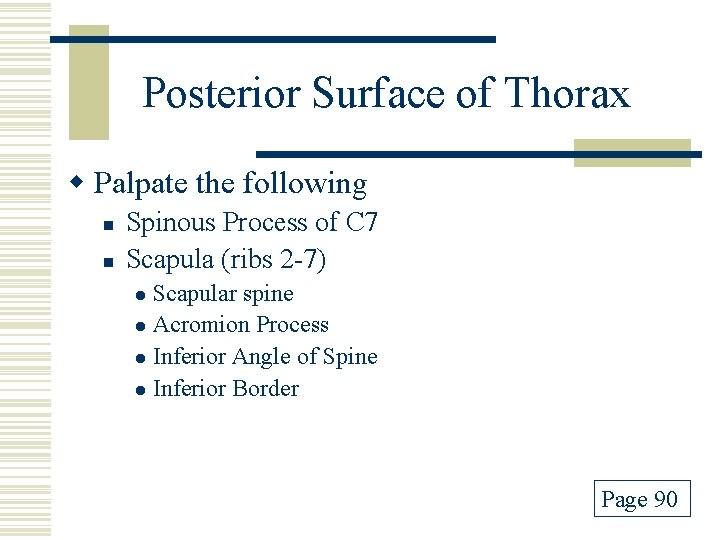 Posterior Surface of Thorax w Palpate the following n n Spinous Process of C