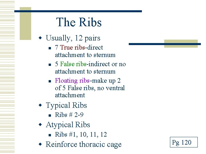 The Ribs w Usually, 12 pairs n n n 7 True ribs-direct attachment to