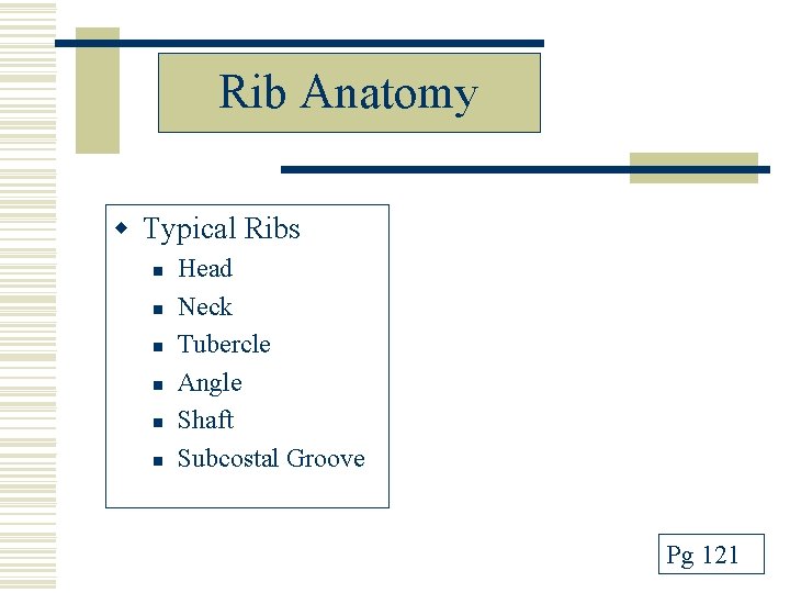 Rib Anatomy w Typical Ribs n n n Head Neck Tubercle Angle Shaft Subcostal