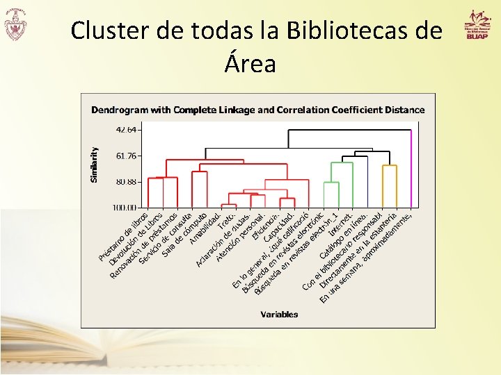 Cluster de todas la Bibliotecas de Área 