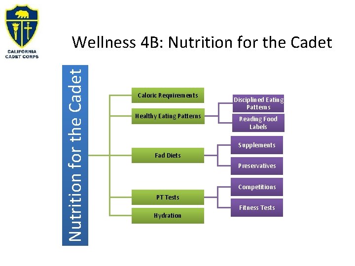 Nutrition for the Cadet Wellness 4 B: Nutrition for the Cadet Caloric Requirements Healthy