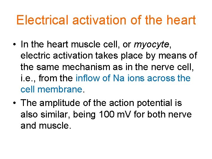 Electrical activation of the heart • In the heart muscle cell, or myocyte, electric