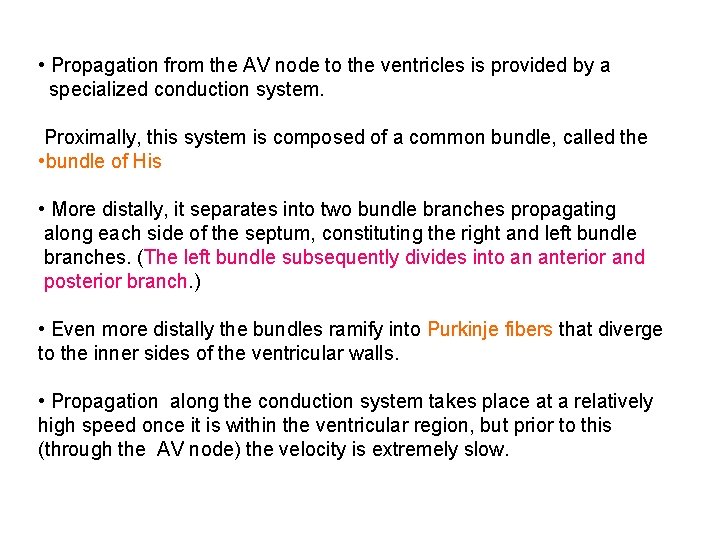  • Propagation from the AV node to the ventricles is provided by a