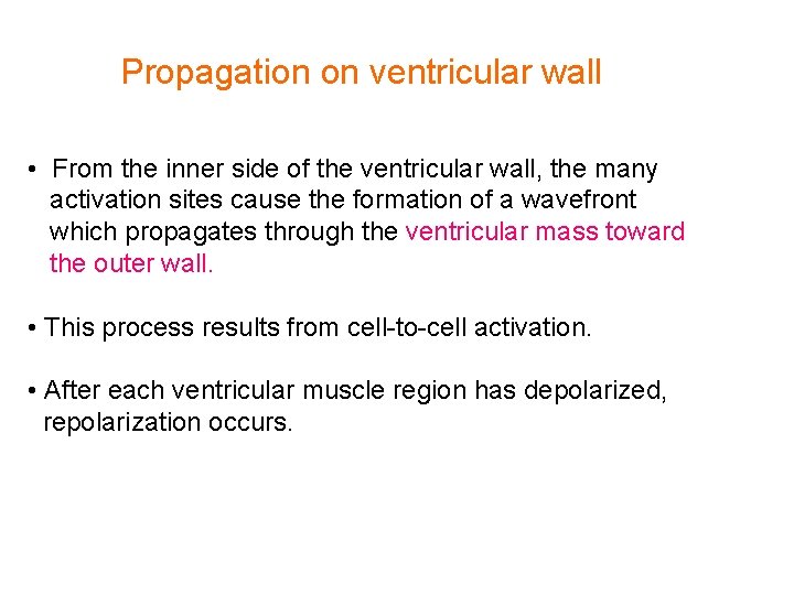 Propagation on ventricular wall • From the inner side of the ventricular wall, the