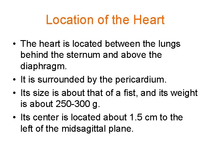 Location of the Heart • The heart is located between the lungs behind the