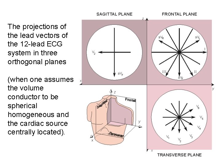 The projections of the lead vectors of the 12 -lead ECG system in three