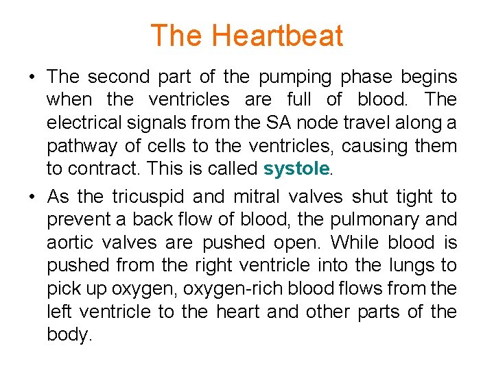 The Heartbeat • The second part of the pumping phase begins when the ventricles