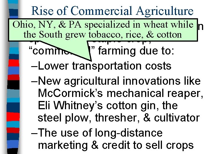 Rise of Commercial Agriculture Ohio, NY, antebellum & PA specialized in wheat while in